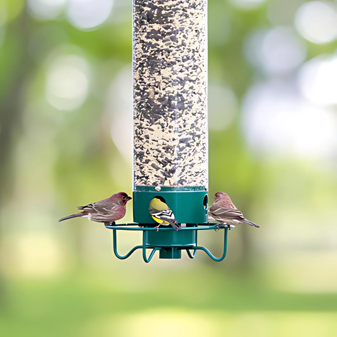 BowLift | Metal Hanging Squirrel-Proof Bird Feeder for Gardens