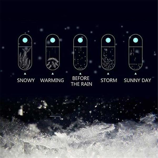 BowLift | Storm Glass Weather Predicting Forecast Bottle Crystal Desktop Barometer with Wooden Base