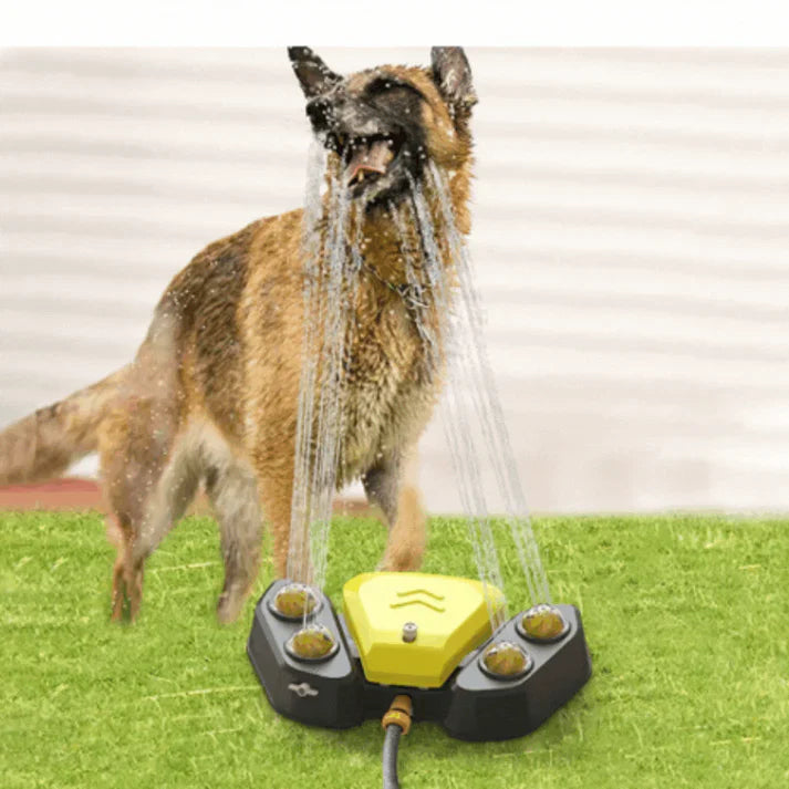 Multifunctional dog sprinkler with drinking fountain Bowlift