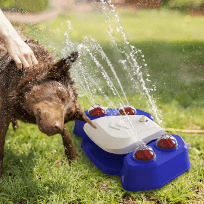 Multifunctional dog sprinkler with drinking fountain Bowlift