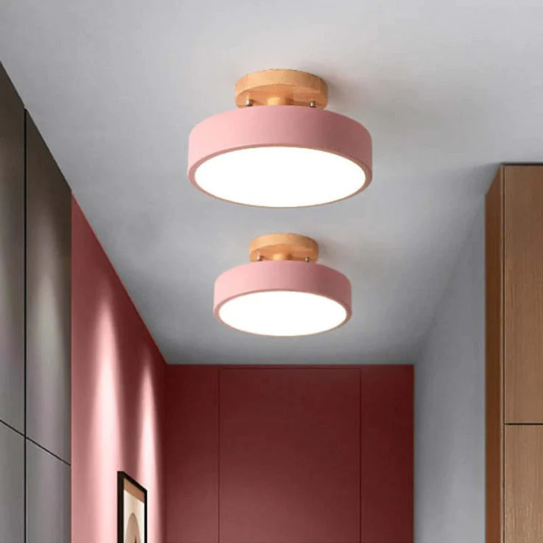 Stylish Modern LED Ceiling Lamp Bowlift