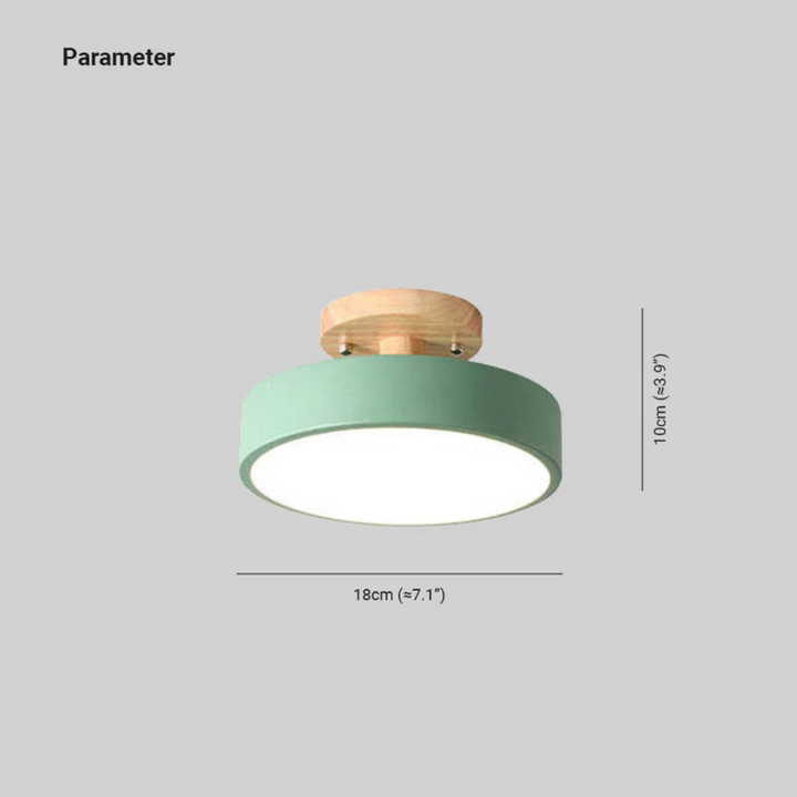 Stylish Modern LED Ceiling Lamp Bowlift