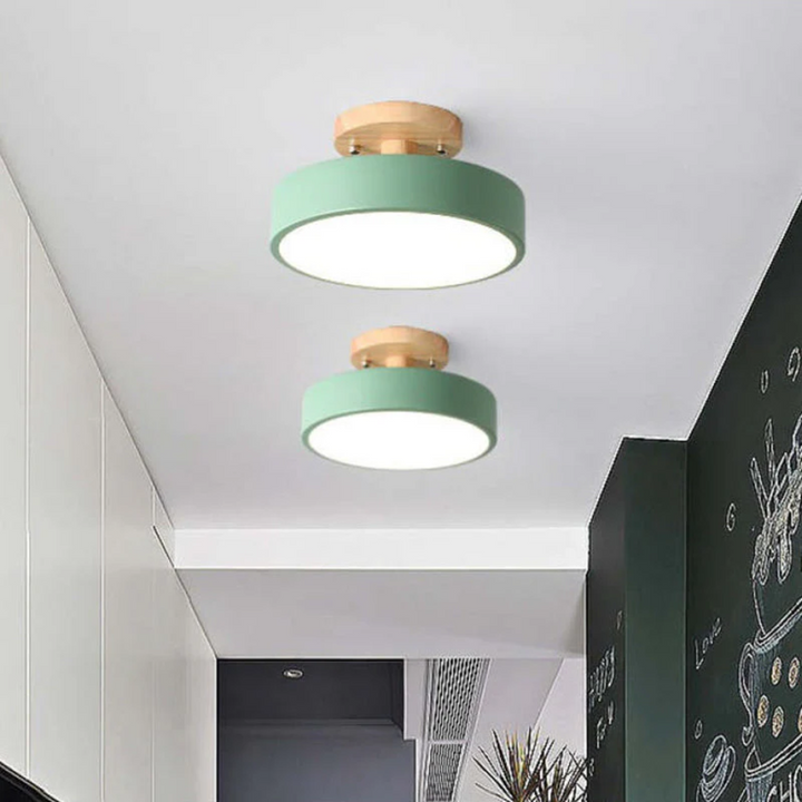 Stylish Modern LED Ceiling Lamp Bowlift