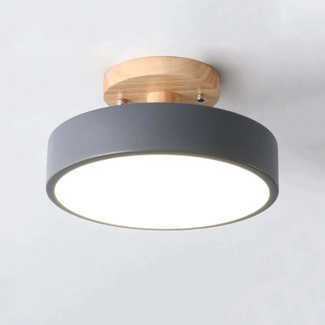 Stylish Modern LED Ceiling Lamp Bowlift