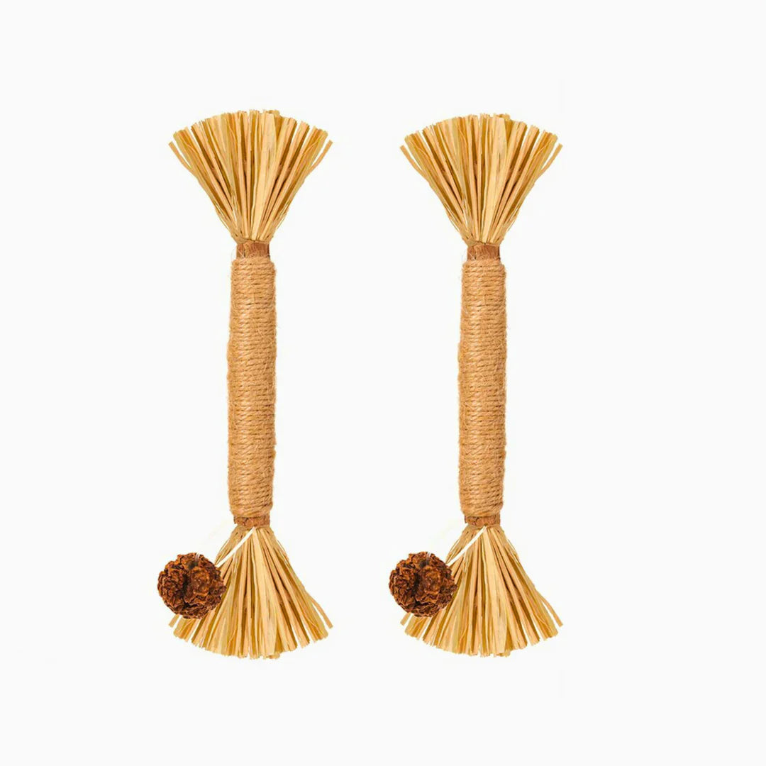 PawBite – Natural Chew Sticks for Cats Bowlift