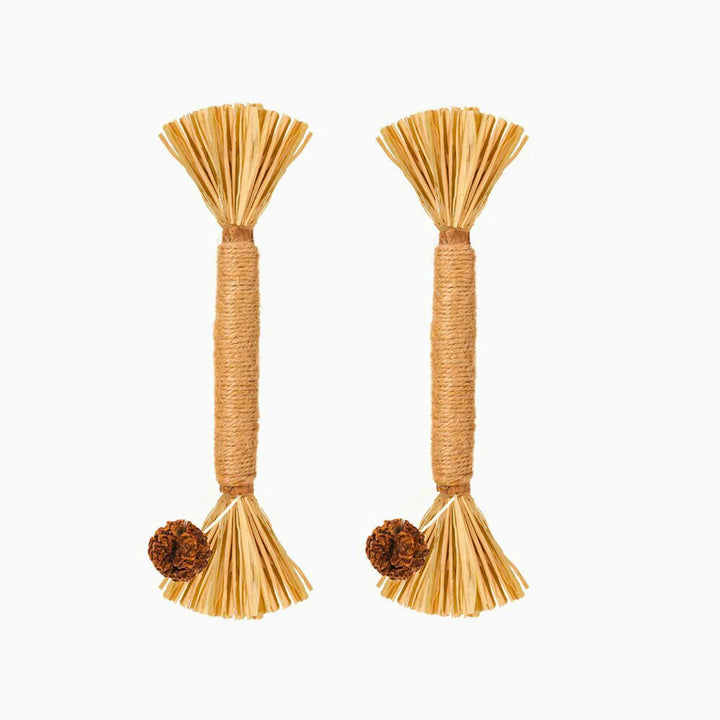 PawBite – Natural Chew Sticks for Cats Bowlift
