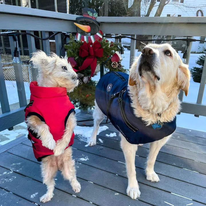 BowLift | Waterproof Dog Jacket with Built-in Harness – Warm, Weather-resistant Dog Jacket for All Breeds