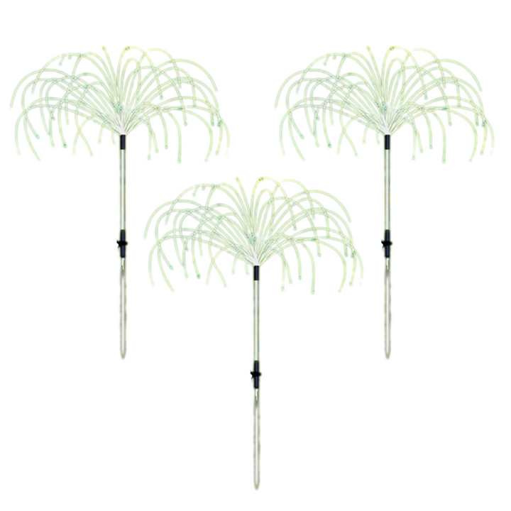 BowLift | BloomBright