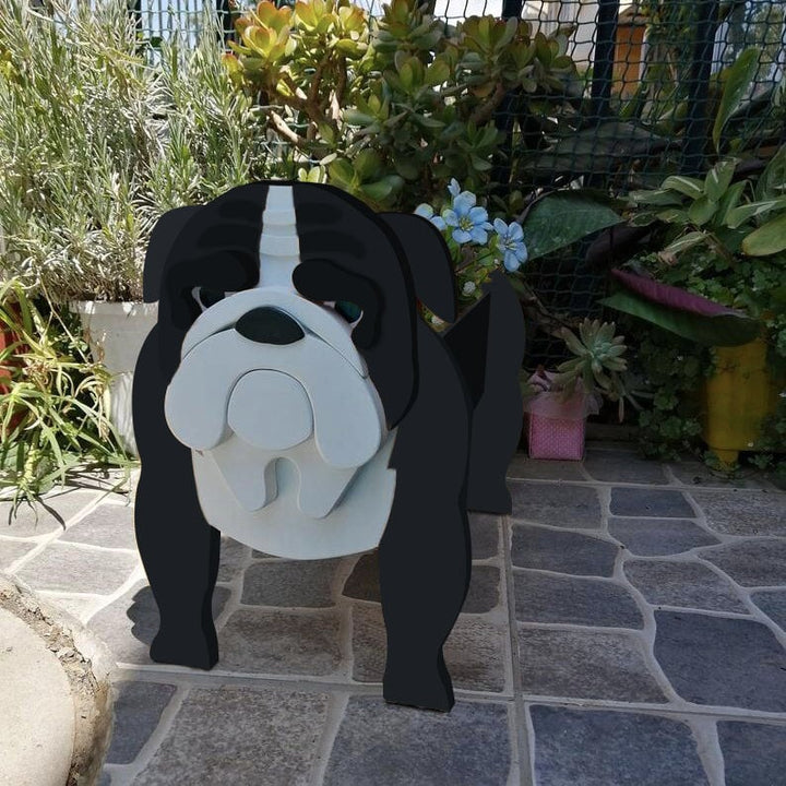 BowLift | PawPlanter Green Pet Oasis