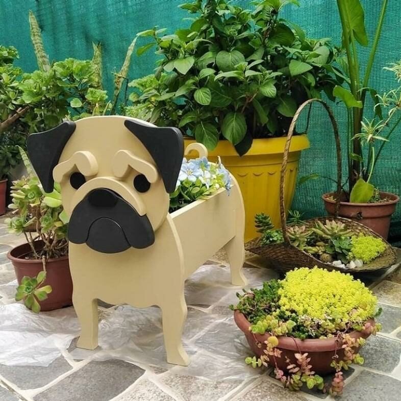 BowLift | PawPlanter Green Pet Oasis