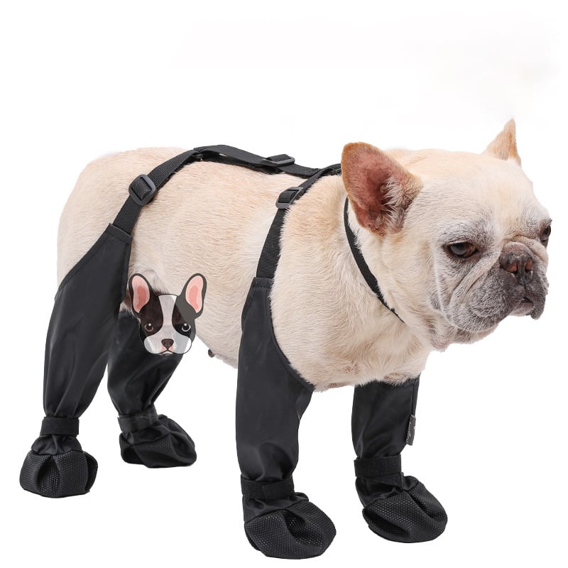 BowLift | Sustainable Dog Boots for All Weather Elements – Waterproof Dog Shoes for Snow, Hiking, and Outdoor Activities