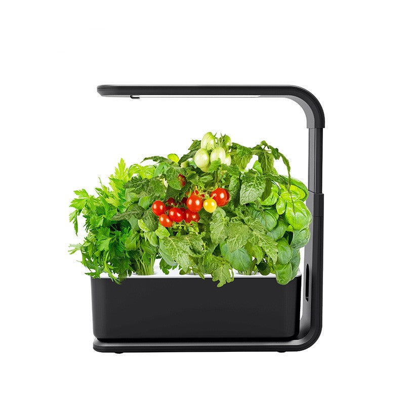 BowLift | Slim Hydroponic Plant System for Indoor - GreenBloom Hydro