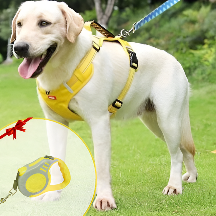 BowLift | Anti-Pull Dog Harness - FlexiFit