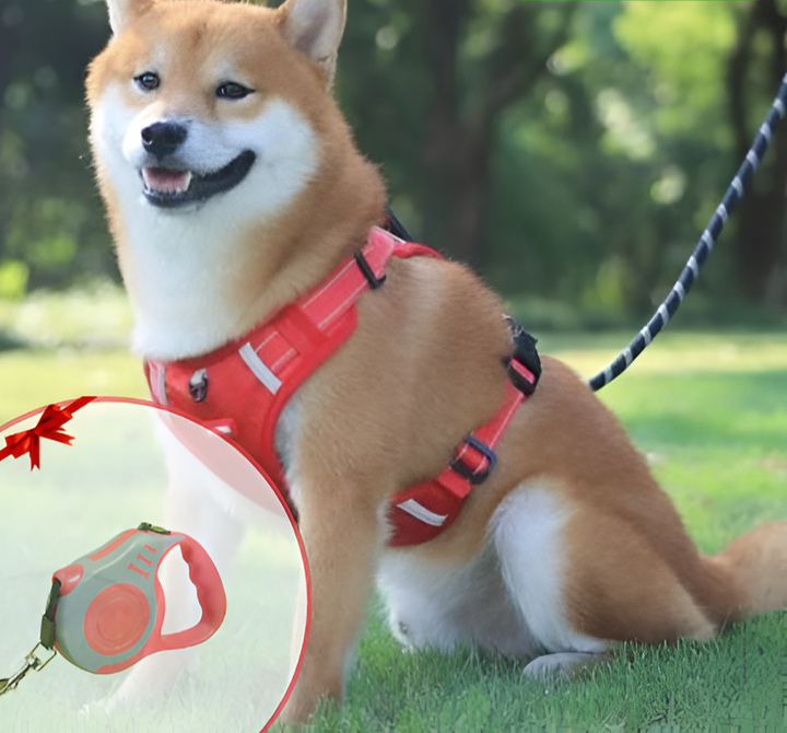 BowLift | Anti-Pull Dog Harness - FlexiFit