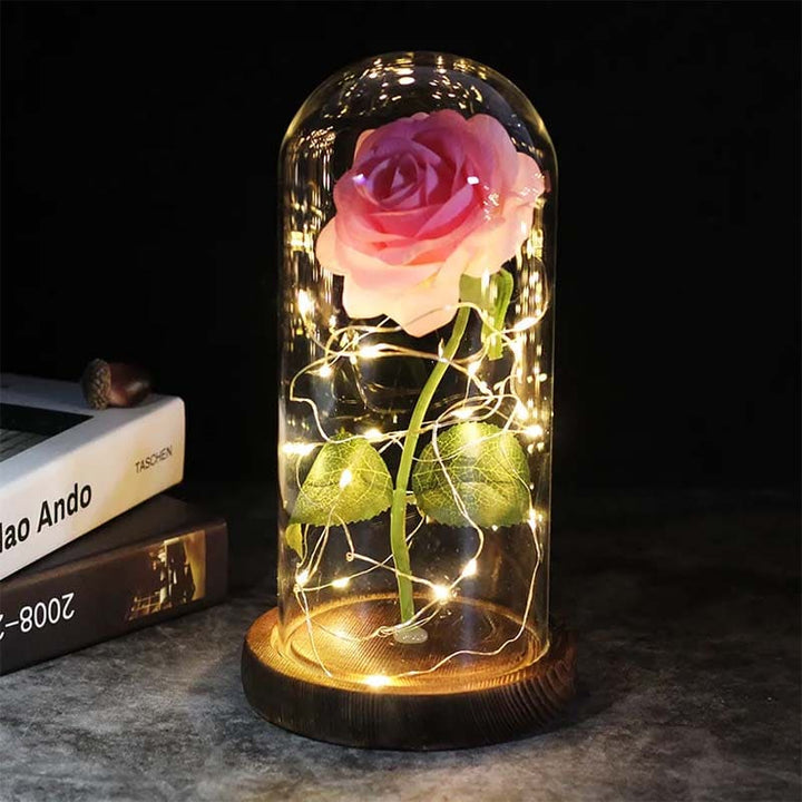 BowLift | Aurora Rose Under Glass Dome