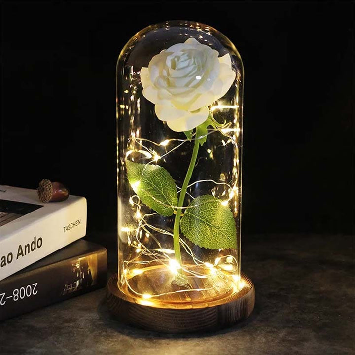 BowLift | Aurora Rose Under Glass Dome