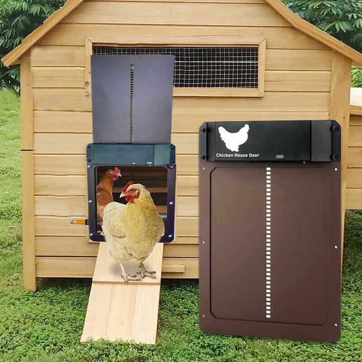 Coop-Wache | Automatic Chicken Door | Bowlift