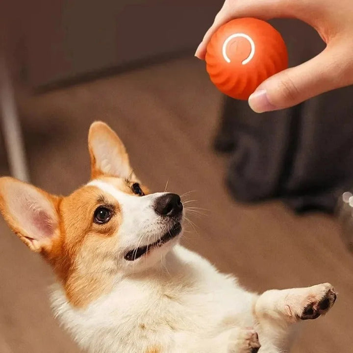 SmartPlay – Automatic Play Ball for Dogs Bowlift