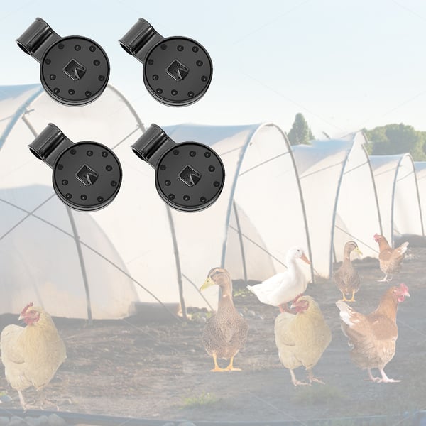 Clippers | Plant-based Sun Protection | Bowlift