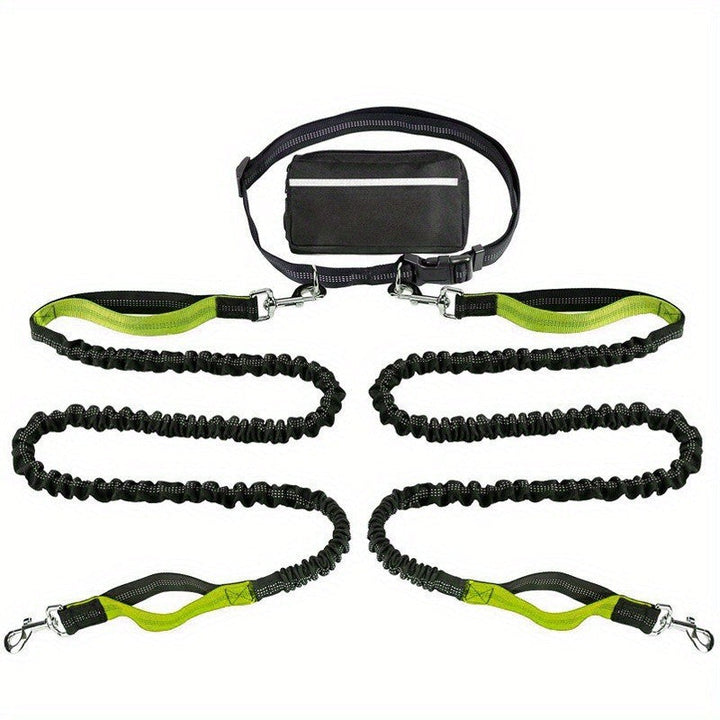 FlowLeash — Experience gentle control and relaxed walks without jerks! | Bowlift