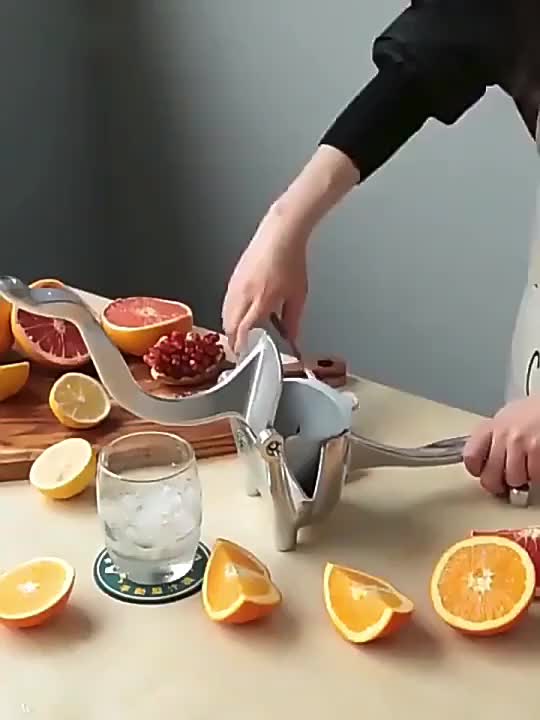 Sumba Juicer - Multifunctional Fresh Juice Machine for Home Use Bowlift