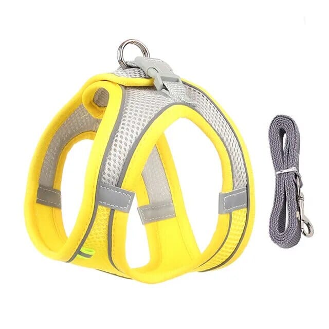 Bowlift Venture Dish & Leash