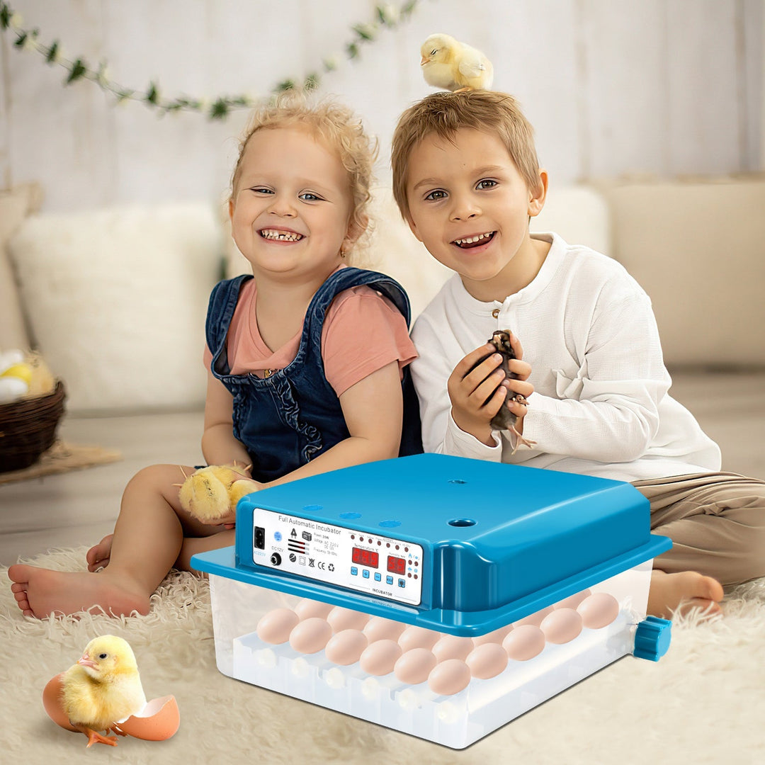 Brutautomat Fully Automatic Incubator for Chickens 36 Eggs | Bowlift