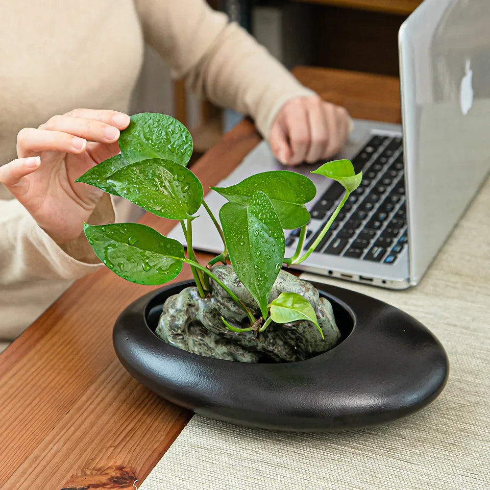 BowLift | Large-caliber Ceramic Flowerpot for Office and Balcony