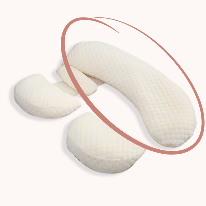 BowLift | Body Pillow Insert - ComfortPlus