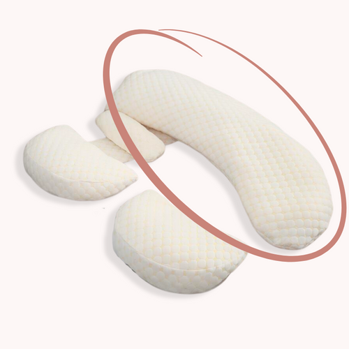 BowLift | Body Pillow Insert - ComfortPlus