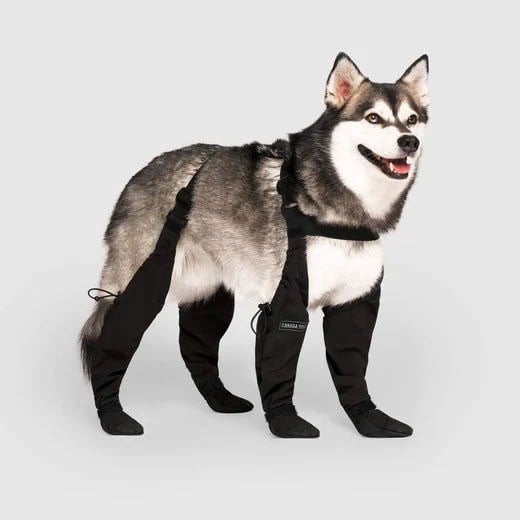 Boots for Safe Outdoor Adventures - PawShield Bowlift