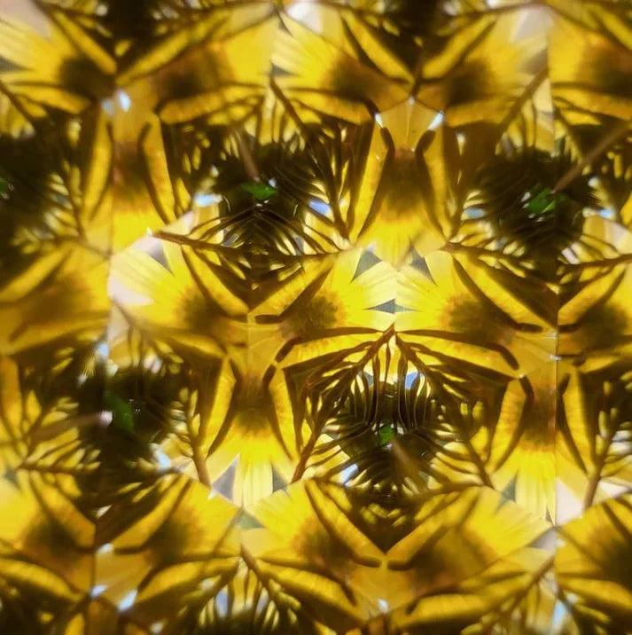 BowLift | Woodland Wonder Kaleidoscope