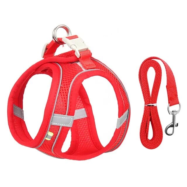 Bowlift Venture Dish & Leash