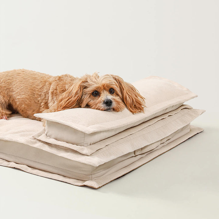 Calming Dog Bed - CozyCalm Deep Sleep Bowlift