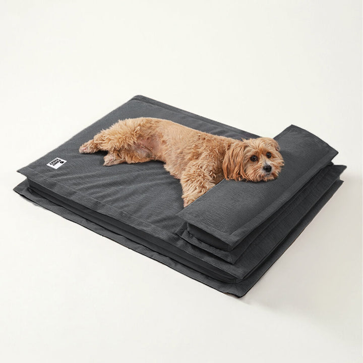 Calming Dog Bed - CozyCalm Deep Sleep Bowlift