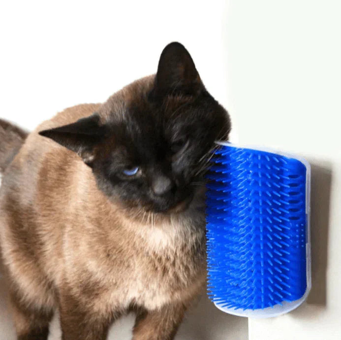 Self-Grooming Cat Corner Brush – FurRelaxer Bowlift