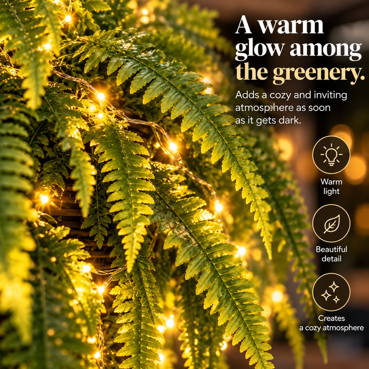 BowLift | Lighted Hanging Fern