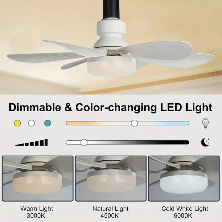 BowLift | LuxeBreeze Portable Ceiling Fan & Light | Elegant 2-in-1 solution with remote control for comfort and style