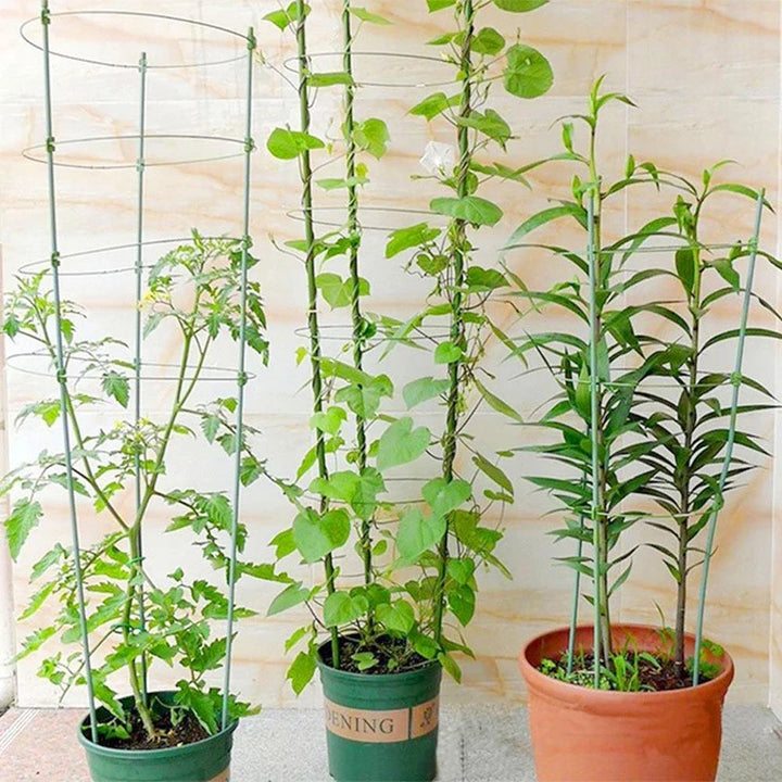 BowLift | Climbing frame for plants – Sturdy support ring frame for climbing plants