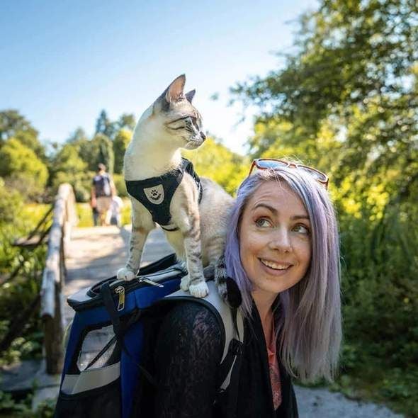BowLift | Reflective Cat Harness and Leash Set with Adjustable Straps for Safe Night Adventures – Comfortable Fit for Cats and Kittens