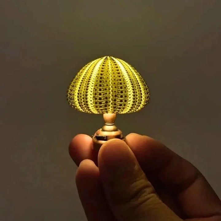 BowLift | LumiCraft – Unique DIY table lamp with natural sea shell for a cozy décor