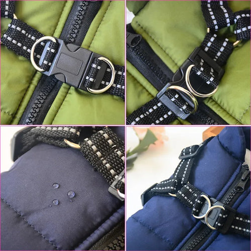 All-Wheather Dog Jacket Bowlift
