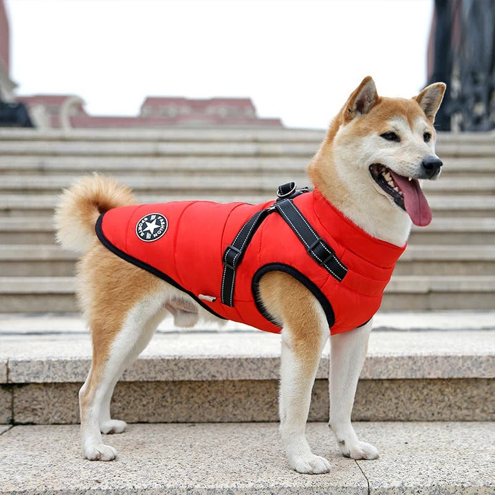 All-Wheather Dog Jacket Bowlift