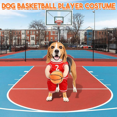 BowLift | PawChic Luxe Dog Basketball Set | Stylish outfit with matching ball for active pups