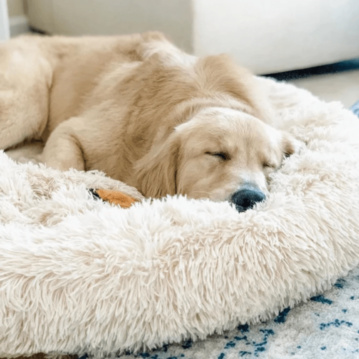 BowLift | Beef Plush Calming Donut Dog Bed for Small to Large Dogs