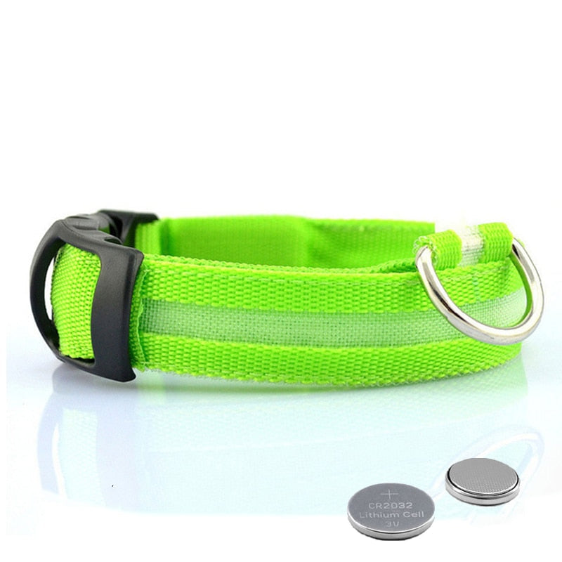 Dog collar with LED lighting - GlowCollar Bowlift