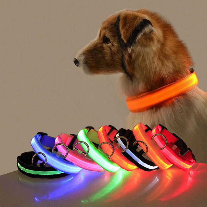 Dog collar with LED lighting - GlowCollar Bowlift