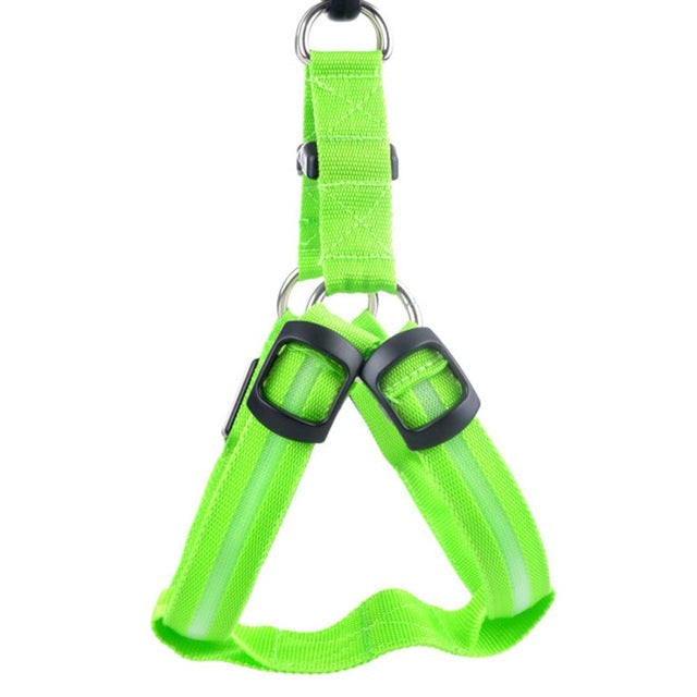 Dog harness with LED - Glow&Go Bowlift