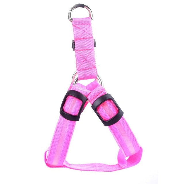 Dog harness with LED - Glow&Go Bowlift