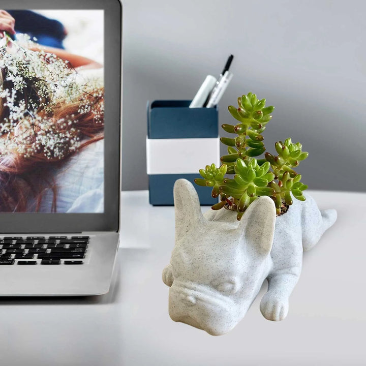 BowLift | Dog Resin Succulent Planter - Buddy